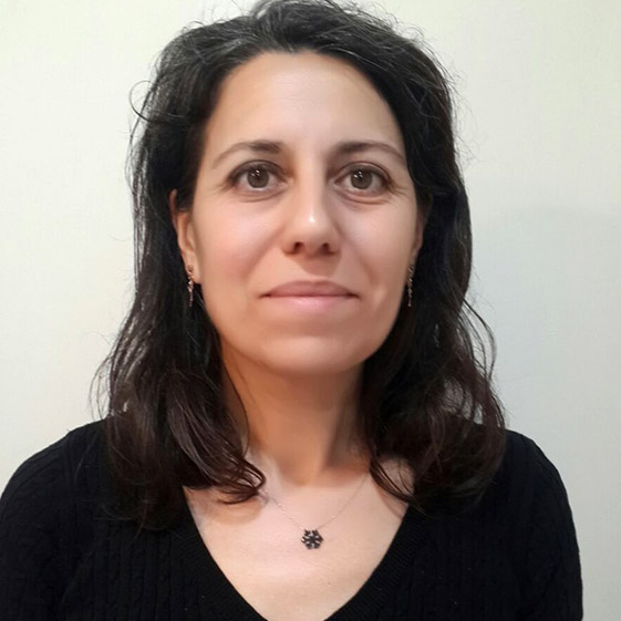 Sema Bayraktar Tür Faculty Member, PhD