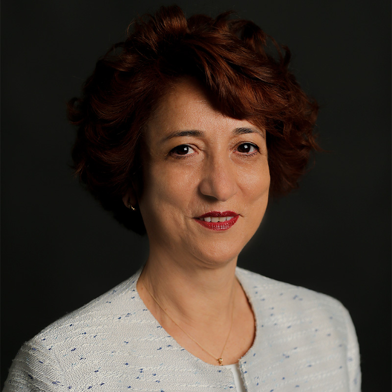 Hülya Şişli Faculty Member, PhD