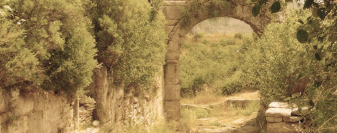 MA in Philosophy and Social Thought MA in Philosophy and Social Thought