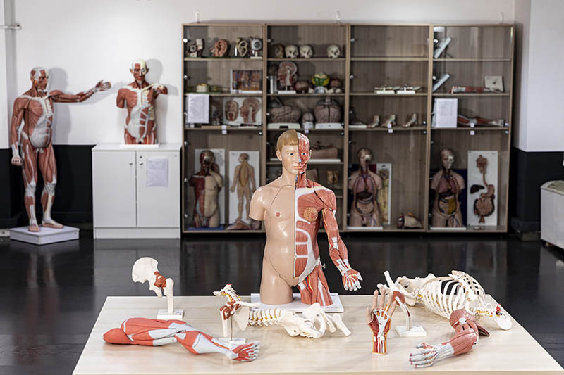 Anatomi Laboratuvarı 2