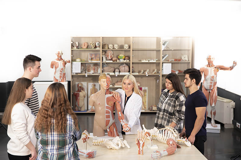 Anatomi Laboratuvarı 6 Anatomi Laboratuvarı 6