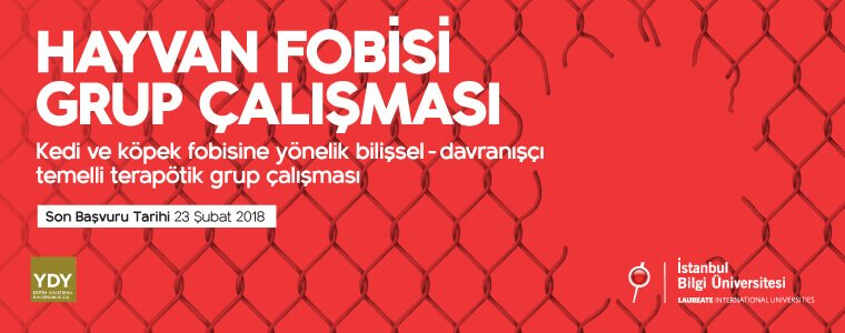 PDB Grup Çalışması: “Hayvan Fobisi" PDB Grup Çalışması: “Hayvan Fobisi"