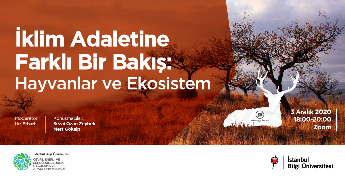 İklim Adaletine Farklı Bir Bakış: Hayvanlar ve Ekosistem İklim Adaletine Farklı Bir Bakış: Hayvanlar ve Ekosistem