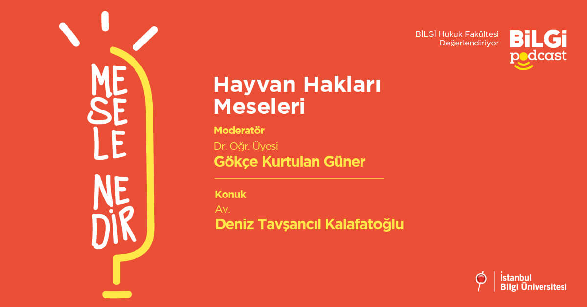Mesele Nedir? #4: Hayvan Hakları Meselesi | Dr. Öğr. Üyesi Gökçe Kurtulan Güner & Av. Deniz Tavşancıl Kalafatoğlu Mesele Nedir? #4: Hayvan Hakları Meselesi | Dr. Öğr. Üyesi Gökçe Kurtulan Güner & Av. Deniz Tavşancıl Kalafatoğlu