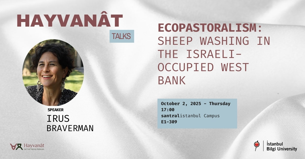 Hayvanat Talks: Ecopastoralism - Sheep Washing in the Israeli- Occupied West Bank