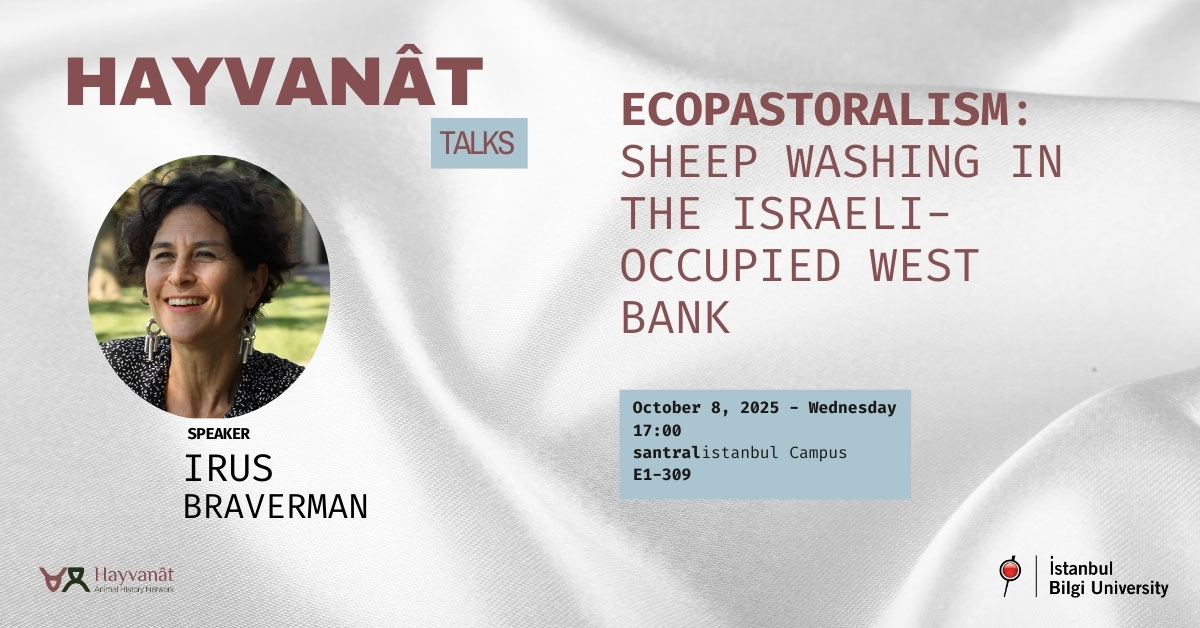 Hayvanat Talks: Ecopastoralism - Sheep Washing in the Israeli- Occupied West Bank