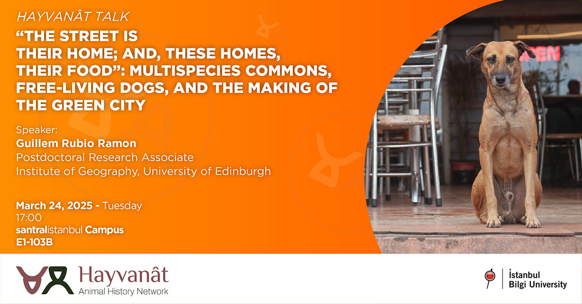 Hayvanat Talk The Street is Their Home and These Homes