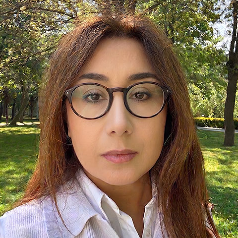 Özlem Ulucan Açan Faculty Member, PhD