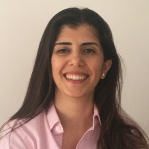 Aslı Elif Aydın Altınoklar Doç. Dr.