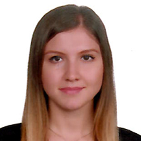 Gülçin Eren 