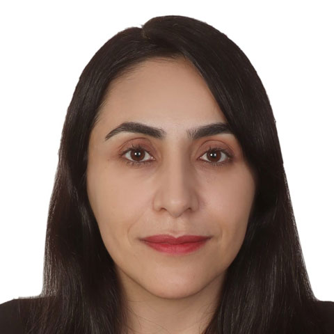 Sakineh Babaei Dr. Öğr. Üyesi