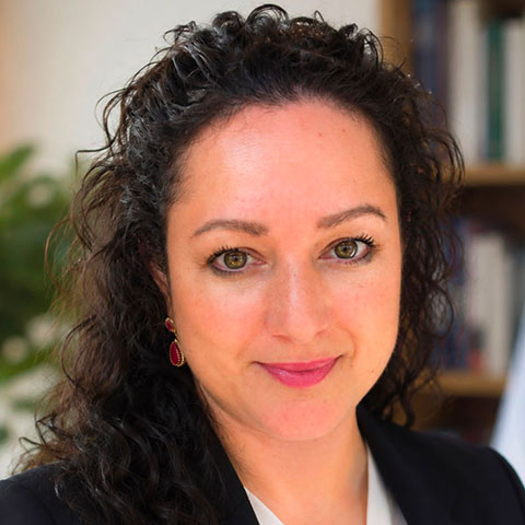 Prof. Dr. Elif Elçin Dereli